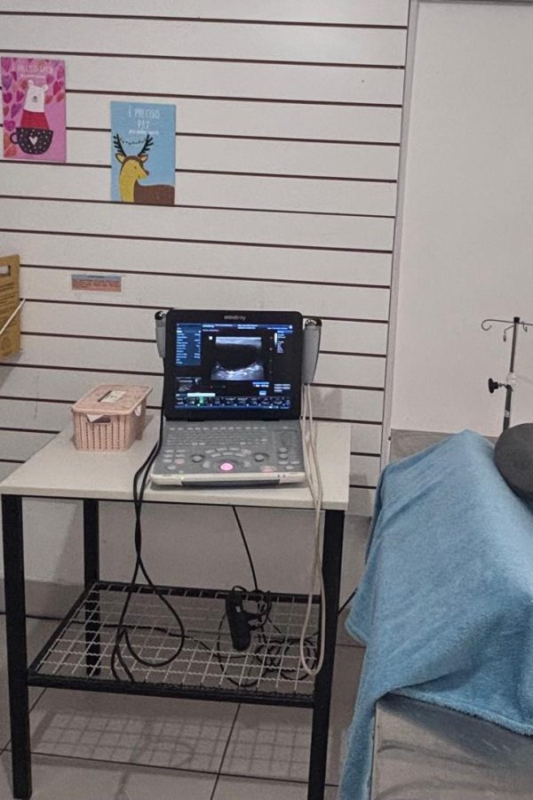 WhatsApp Image 2025-12-15 at 09.52.08